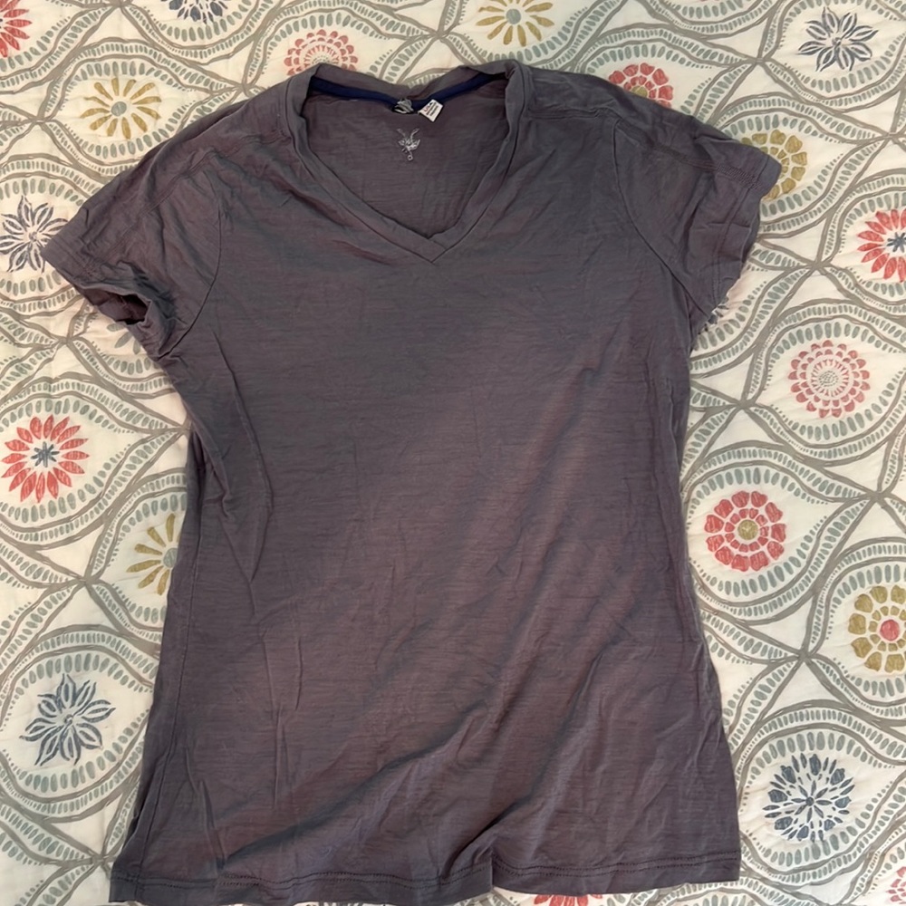 Ibex 100% merino wool t shirt
